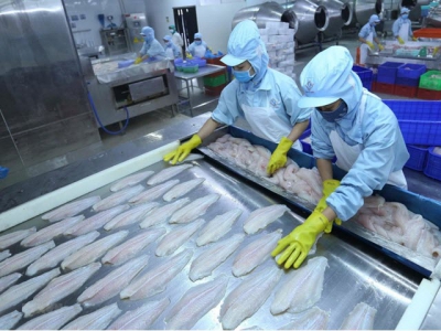 Things go swimmingly for seafood exports to CPTPP