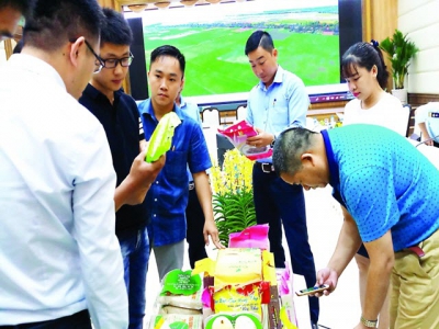 Vietnam boosts rice quality to increase China market share
