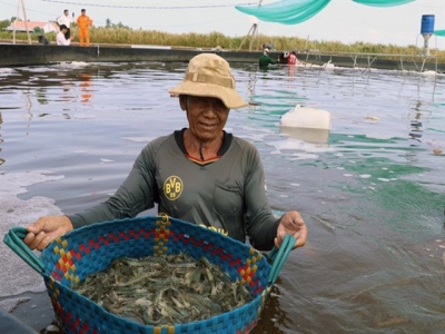 Kien Giang widens efficient rice farming, aquaculture models