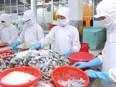 Seafood exports forecast to reach US$9 billion in 2019