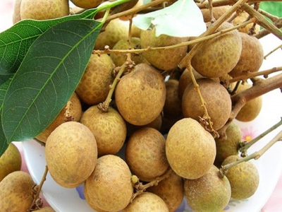 Loại trái cây thứ 4 của Việt Nam được phép xuất khẩu sang Australia