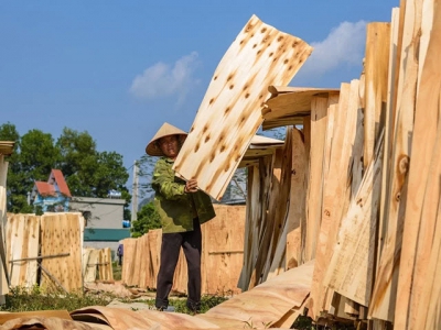 Origin fraud threatens duties on Vietnamese wood, seafood exports to US