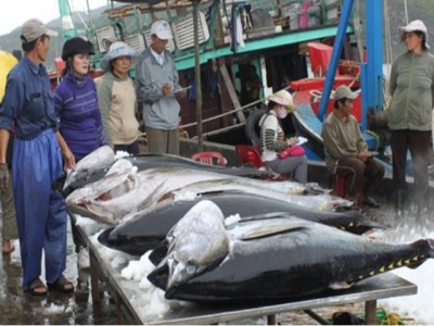 EU to exempt import duties on Vietnamese tuna