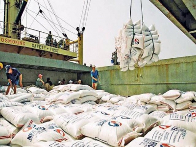 Mismanagement causes difficulties for Vietnams rice exporters