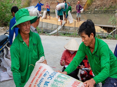 Vietnams rice export prices at two-year high