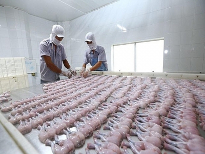 Vietnams seafood exporters setting up basis for EVFTA boons