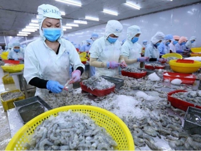 Aquatic exports to China plunge amid COVID-19 threats