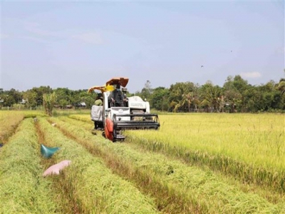 Australian businesses remain keen on Vietnamese agricultural technology