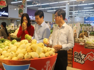 Đồng Tháp launches agricultural products website