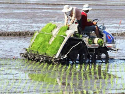 Positive signals from agricultural sector