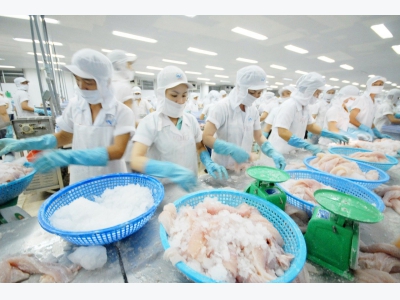 Thị trường nội địa thành trì dài hạn của cá tra Việt Nam
