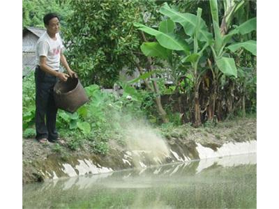 Người Đảng Viên Làm Kinh Tế Giỏi