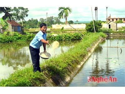 Nghệ An Cá Vụ 3 Vào Mùa