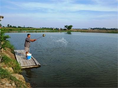 Nâng Cao Nghề Nuôi Thủy Sản