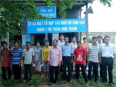 Trà Vinh Ra Mắt Tổ Hợp Tác Nuôi Bò Sinh Sản