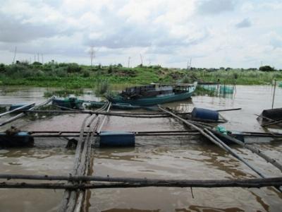 Sà lan tông bè nuôi cá trên sông, gây thiệt hại hàng trăm triệu đồng