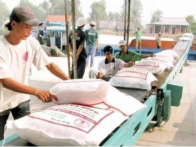 Khó tìm túi bao bì chân không cho gạo xuất khẩu