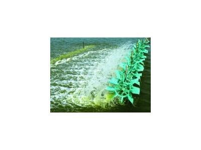 Giải pháp kiểm soát tảo lam trong ao tôm