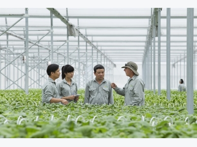 Việt Nam seeks global help to lift agriculture sector