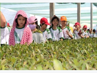 Ho Chi Minh City seeks solutions to promote agriculture tourism