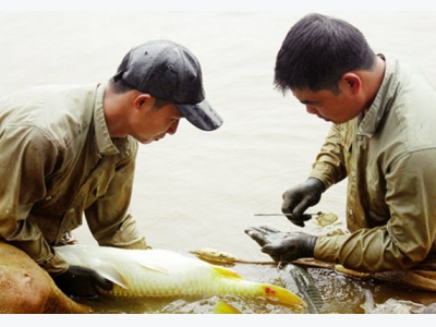 Hỏi đáp thủy sản tháng 9