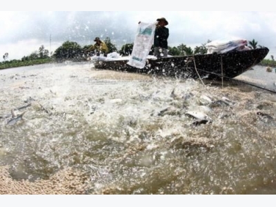 Vietnam steps up aquaculture cooperation with Cambodia