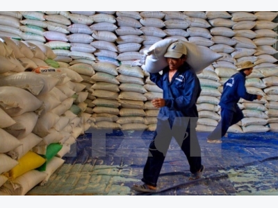 Rice exporters advised to diversify markets