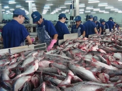 Strong marketing strategy needed to bolster tra fish exports