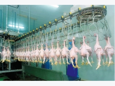 First shipment of Vietnamese chicken dispatched to Japan