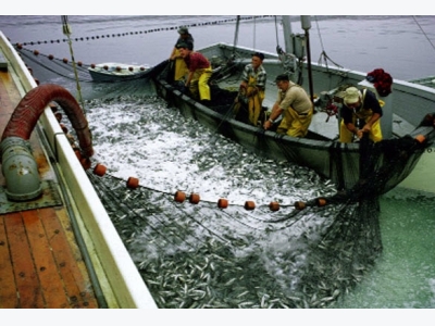 Mỹ: Sáng kiến nâng cao giá trị thủy sản