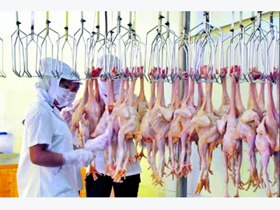 Whats behind chicken exports to Japan?
