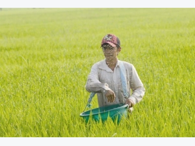 Vietnam spends heavily on fertilizer, pesticide imports