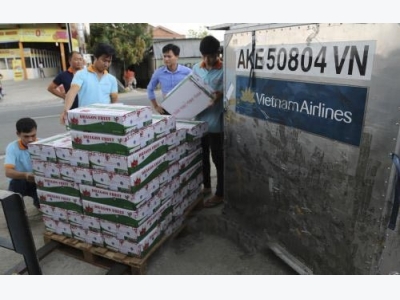 Vietnam ships first batch of dragon fruit to Australia