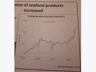 China seafood prices set firm or rising