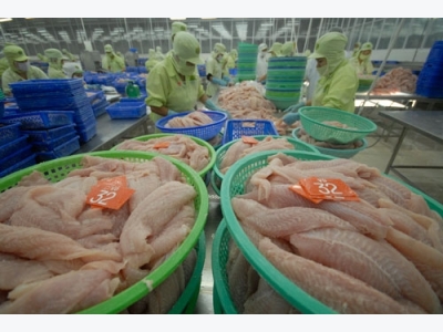 Catfish exporters need to unite as exports face trade barriers