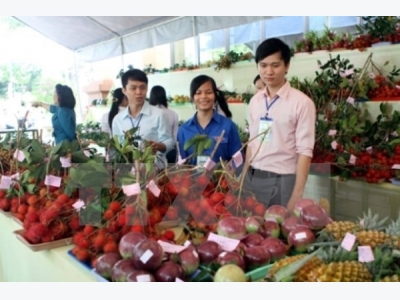 Vegetable, fruit exports hoped to hit record high