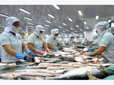Tra fish exports to US on course