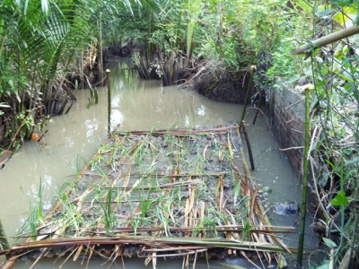 Trồng rau màu trên bè