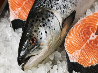 Gene expression response to sea lice in salmon skin identified