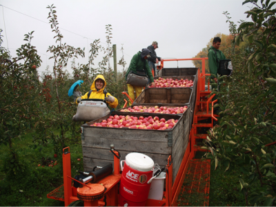 A new platform for fruit picking