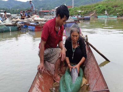 Building the brand of fish and shrimp of Hoa Binh Hydropower Plant