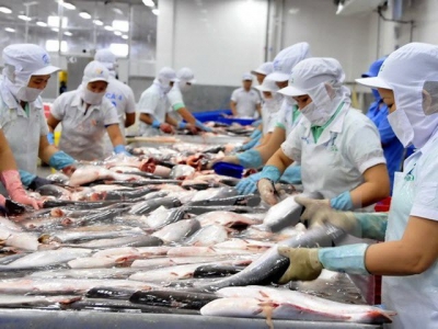 Tra fish exports surge in seven months
