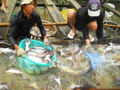 Adaptation measures needed to sustainably develop aquaculture