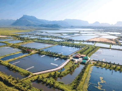 Land Based Sustainable Aquaculture Strategy - Part 12