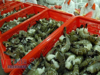 Seafood exports of the first six months increase 0.6% year on year