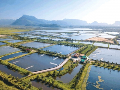 Land Based Sustainable Aquaculture Strategy - Part 4