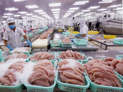 VN catfish exports: sales goals unmet despite price cut