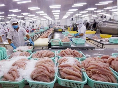 Seven-month fishery export value drops 1 percent
