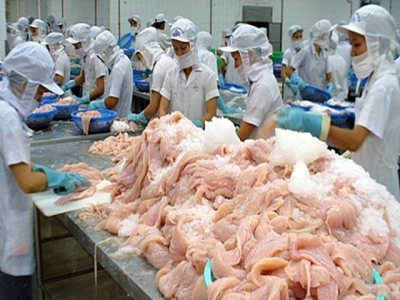 Pangasius exports will grow thanks to EVFTA