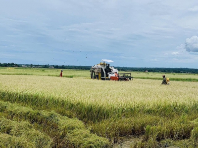 Will technical barriers imposed by the Philippines create difficulties for Vietnams rice